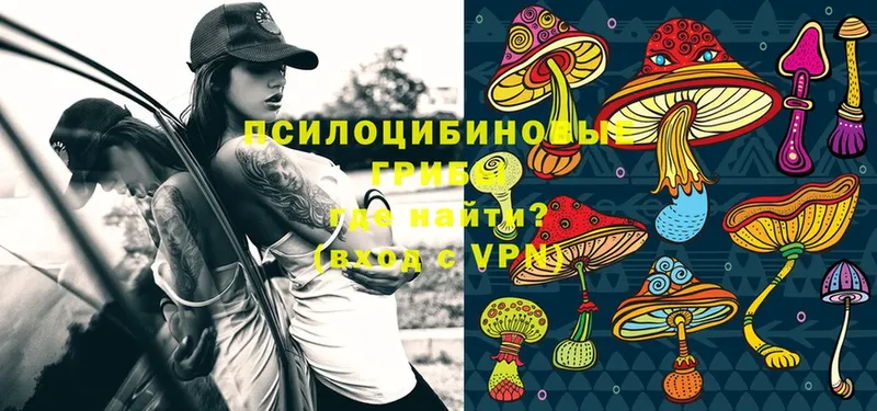 Псилоцибиновые грибы Magic Shrooms  купить наркоту  это Telegram  Полысаево 